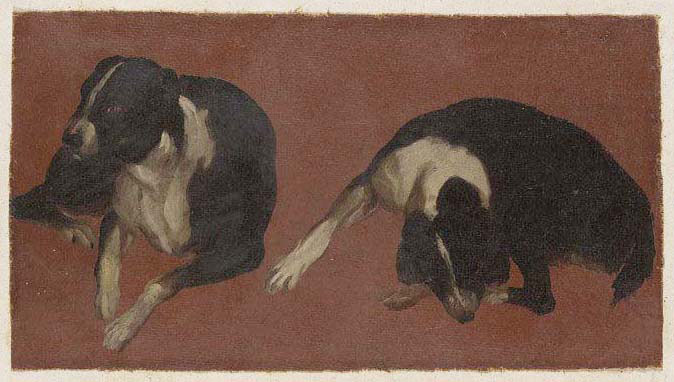 two studies of a dog